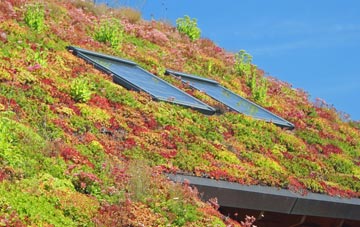 Cheadle Heath living roof systems
